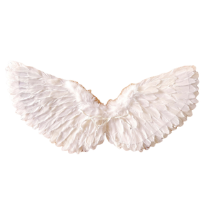 Ali <span class=keywords><strong>d</strong></span>'<span class=keywords><strong>angelo</strong></span> bianche di alta qualità per il carnevale di Halloween Cosplay decorazioni per feste di medie dimensioni con piume tinte durevoli - Product Image 4