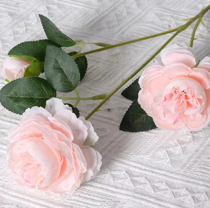 Peony pink