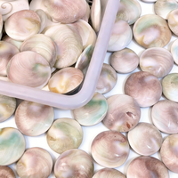 Artisanat en cristal naturel en gros, pierre de coquille de haute qualité, pierre de paume pour la décoration et les cadeaux