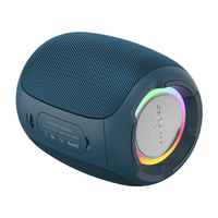 Haut-Parleur Mini 10W Son Surround Premium Haut-Parleur Portable Sans Fil Lumière LED RGB Étanche pour Utilisation en Extérieur
