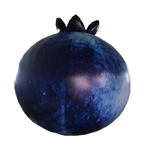 Globos Inflables Gigantes de Arándanos de 5 m, Modelos de Frutas Inflables para Publicidad de Apertura de Tiendas, Arándanos Inflables para Eventos - Product Image 1