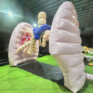 विशाल inflatable फेफड़ों के शरीर से बाहर सामुदायिक चिकित्सा शिक्षा चिकित्सा प्रदर्शनियों के लिए मानव अंगों को उड़ा देता है - Product Image 4