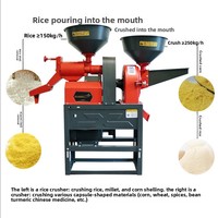 Petite machine à décortiquer le riz et le maïs pour usage domestique et commercial avec moteur, fonctions de polissage et de broyage