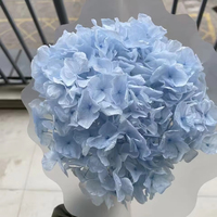 Bunga Hydrangea Daun Besar Premium Alami Awet Ramah Lingkungan Tahan Lama 3-5 Tahun Warna Sesuai Pesanan Pengisi Bunga Toko Bunga Pasokan Grosir