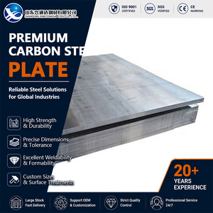 Shot Blasting Q345B S355JR Shot Blasted Cold Rolled 5mm 2000mm Shearing ASTM A572 Carbon Steel Plate - Product Image 1