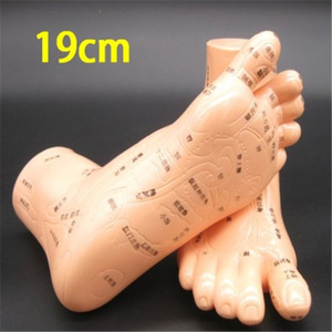 Wei Ye <b>Massage</b> Foot Model 19cm Soft Acupressure Reflexology Training <b>Tool</b> - Product Image 1