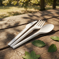 Ensemble de couverts écologiques biodégradables sans plastique CPLA, couteau, fourchette, cuillère jetables, vaisselle compostable