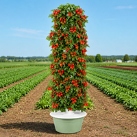 Tour de culture verticale pour jardinage en petit espace, système hydroponique à 11 étages et 44 plantes