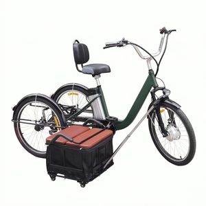 Pneus de 24 pouces, batterie lithium 48V 13Ah, capacité de charge maximale de 170 kg - tricycle électrique pour passagers et marchandises - Product Image 3