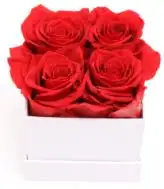 Immortal Roses Customized Logo Immortal Infinity Eternal Forever Stabilized Preserved Roses In Round Square Heart Box