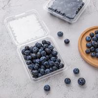 Kartonnen cakeverpakking met aangepast logo, biologisch afbreekbaar PLA-materiaal, voedselcontainer, wegwerp punnets, UV-print, clamshell fruitverpakking