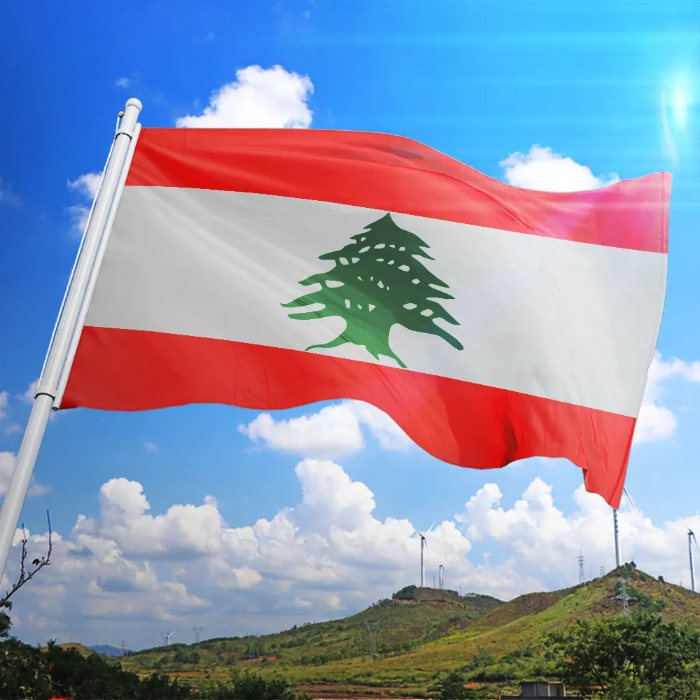 48 एच तेजी से वितरण प्रोमोशनल उत्पाद 3x5 फुट लेबनान झंडा पीतल Grommets के साथ 100% पॉलिएस्टर लेबनान झंडा लेबनान झंडा