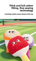 Ensemble de jouets pour chat : Balle interactive en peluche à effets sonores et froissés, enrichie en catnip, pour l'auto-entretenissement, le soulagement du stress et la stimulation dentaire des chatons