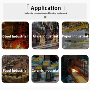 Brûleur industriel pour lignes et conduites, destiné aux équipements de revêtement, à la circulation d'air chaud et aux tunnels de séchage - Product Image 5