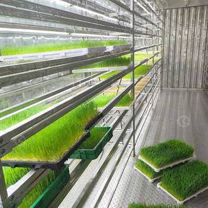 Sistema de Máquina de Germinação em Contêiner de Cultivo Hidropônico para Forragem Verde de Cevada à Venda - Product Image 2