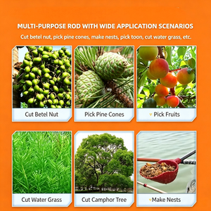 Perche d'extension légère en fibre de carbone <span class=keywords><strong>pour</strong></span> la récolte des fruits à grande portée et l'entretien des jardins - Product Image 1