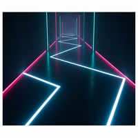 Bande EL haute luminosité pour rampes d'escalier et bordures de marches dans les bars, les KTV et les discothèques. Lumière douce qui guide les yeux, rehausse l'ambiance.