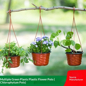 Maceta Colgante de PP Reforzado y Duradero <span class=keywords><strong>para</strong></span> Plantas Araña y Pothos, Jardinera Completa con Gancho <span class=keywords><strong>para</strong></span> Balcón - Product Image 4
