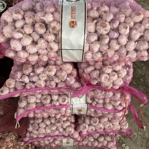 Sơn Đông Tỏi Cây Trồng Mới 4.5-6.0Cm Kích Thước Tỏi Trắng Giá Trong Thấp Cho Xuất Khẩu Nepal - Product Image 4