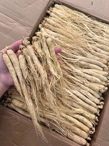 Haute qualité Changbai Mountain le <span class=keywords><strong>ginseng</strong></span> chinois - Product Image 2