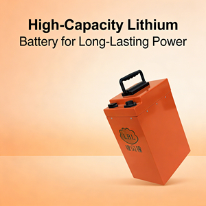Аккумулятор LiFePO4 60В 50Ач для двух- и трехколесных электромобилей (EV Swap), со встроенной BMS, напрямую от производителя, высокая долговечность - Product Image 1