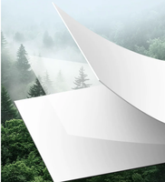 Large Size Coated White Cardboard Paper A1 A2 300gsm 350gsm DIY Drawing Laserjet Double Sided White Cardstock Wholesale