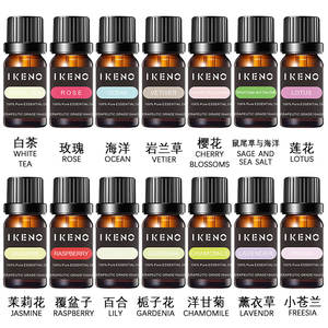 長時間持続可能なFREESIAエッセンシャルオイルリセラーカスタマイズ容量フレッシュエアアロマセラピーエッセンシャルオイル - Product Image 4