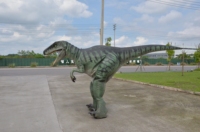   Costume de dinosaure animatronique fait main, grande taille, modèles animatroniques, modèle d'animal animatronique, costume de Velociraptor