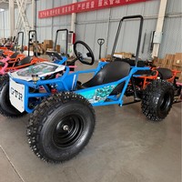 Buggy Offroad 212CC Kecepatan Tinggi 4x4 Go Kart Dengan Roll Cage untuk Berkendara di Bukit Pasir dan Jalur Hutan