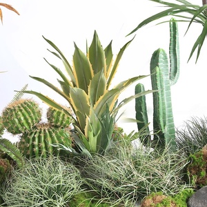 Planta Tropical Artificial de Tacto Real, Combo de Agave, Cactus y Palmera para Paisajismo de Interiores en Espacios Comerciales - Product Image 2