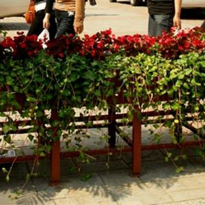 Grand bac à plantes modulaire d'extérieur, potager surélevé - Product Image 3