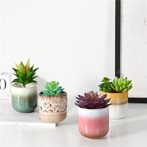 <span class=keywords><strong>Vaso</strong></span> in porcellana di porcellana di sabbia con motivi colorati in <span class=keywords><strong>vaso</strong></span> di ceramica rotonda di <span class=keywords><strong>cactus</strong></span> succulente - Product Image 3