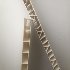 PP de plástico hueco de la <span class=keywords><strong>red</strong></span> de producción de extrusión de la línea de la máquina - Product Image 6