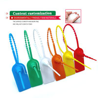 Sceau de sécurité logistique anti-effraction Dingxin DX6-303P en plastique PP/PE, longueur 250 mm, certifié ISO17712