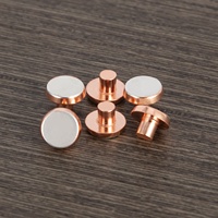 Meilleures ventes Contacts électriques en alliage d'argent Rivets Relais Agsno2 AgCdo AgNi Points de contact en cuivre argenté