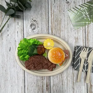 100% Compostable Natural Healthy Bio Degradable Bagasse Round Plate