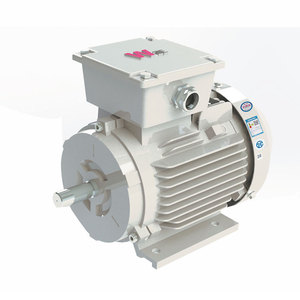 Moteur asynchrone triphasé à vitesse variable antidéflagrant haute tension YBBP (taille de cadre 56 mm) IE3 - Product Image 3