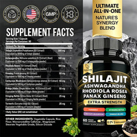 Capsules Neewwon 8-en-1 Shilajit Ashwagandha, Rhodiola Rosea Panax Ginseng, Soutien Énergétique et Anti-Stress, Prêt à Expédier