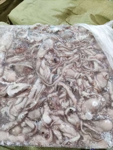 Buen <span class=keywords><strong>precio</strong></span> en <span class=keywords><strong>pulpo</strong></span> de pierna larga <span class=keywords><strong>congelado</strong></span> de origen chino - Product Image 2