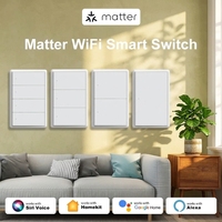 Interruttore a parete intelligente Matter WiFi 1 2 3 4 Gang con cavo neutro, pulsante per l'accensione delle luci, compatibile con il controllo tramite app HomeKit