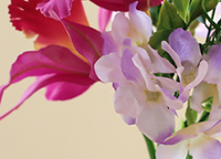Plante artificielle en pot d'orchidée Phalaenopsis, fausse orchidée papillon avec pot en céramique blanc cylindrique pour la maison