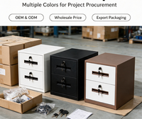 Armoire de classement en acier à 2 tiroirs verrouillable, mini coffre de rangement en métal pour documents de bureau et objets de valeur domestiques