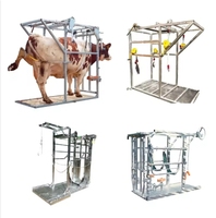 Équipement de coupe de sabots de bétail vertical, construction en acier, revêtement en poudre écologique, modèle BC-04, hauteur de 6 pieds