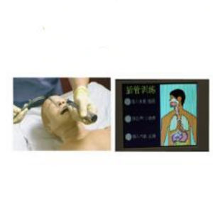 Simulador de entrenamiento de primeros auxilios multifuncional para adultos, BIX-ACLS800B avanzado (intubación RCP y desfibrilación) - Product Image 6