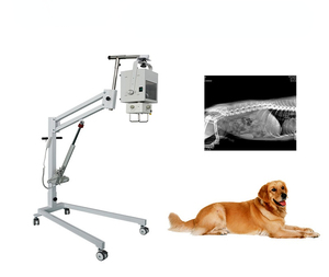 Appareil de radiographie vétérinaire Umy Pure DR réutilisable pour le diagnostic canin en centre d'imagerie médicale vétérinaire avec accessoires Modèle UMXRAY045 - Product Image 6
