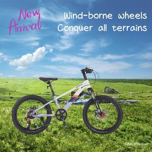 Vente directe Oem VTT entièrement <span class=keywords><strong>rameur</strong></span> vélo tout terrain <span class=keywords><strong>d</strong></span>'<span class=keywords><strong>occasion</strong></span> Oem Odm vélo Dirt Jump pour étudiants - Product Image 6