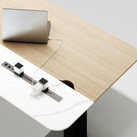 OEM 2025 Best-seller Bureau électrique sur pied au design moderne Mobilier ergonomique pour maison intelligente avec table ajustable pour bureau à domicile
