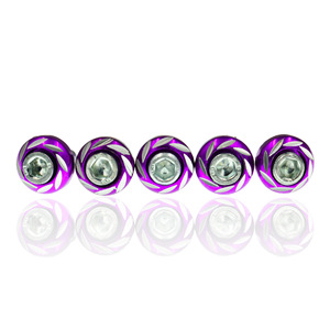 Vis de fixation de plaque d'immatriculation pour moto, voiture électrique et cyclomoteur avec motif floral rond sculpté - Product Image 5