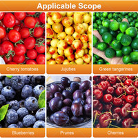 Mijn automatische fruit- en groentesorteermachine, kersen-, sinaasappel- en appel-sorteer-, reinigings- en sorteermachine