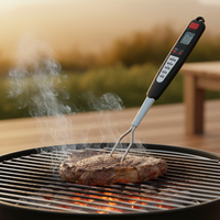 Termometer Makanan Digital LCD SHENWEI ABS Garpu Daging Barbekyu Pegangan Tangan Jarum Ganda